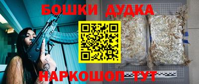 бошки Бийск