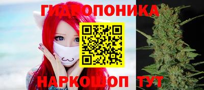 скорость Гай