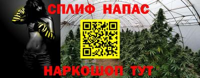 бошки Бийск