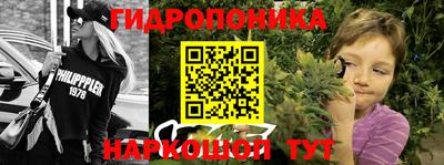 бошки Бийск