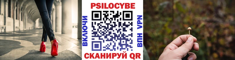 Псилоцибиновые грибы GOLDEN TEACHER  купить   Йошкар-Ола 
