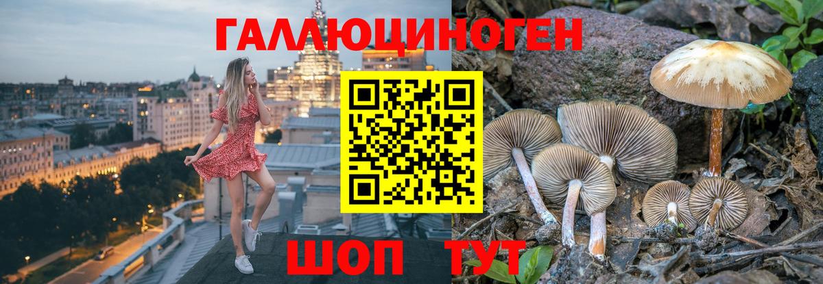 Йошкар-Ола  Галлюциногенные грибы GOLDEN TEACHER  Галлюциногенные грибы Psilocybine cubensis  Вход с VPN 