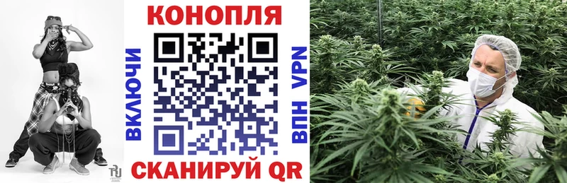 Каннабис SATIVA & INDICA  где продают   Йошкар-Ола 